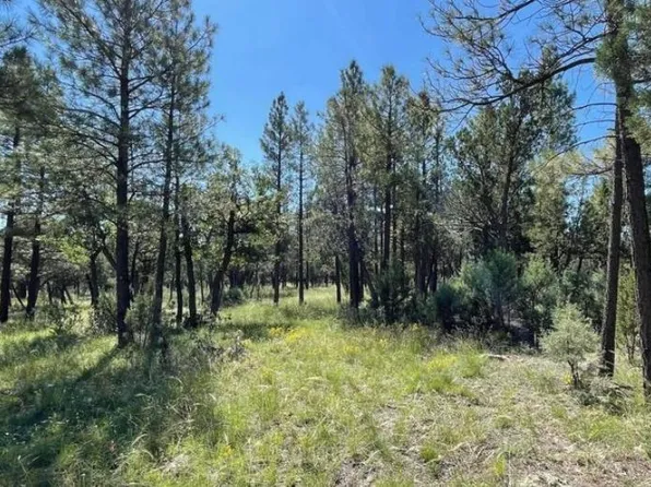 2889 Desert Rose Cir #171, Happy Jack, AZ 86024