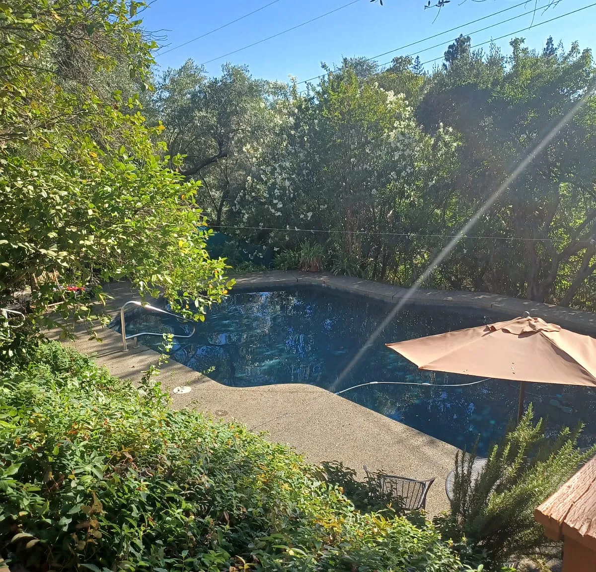 4 bed, 1562 sqft, $3,700 — Photo 2