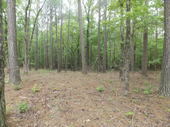 00 BUCKHEAD RD, Tignall, GA 30668