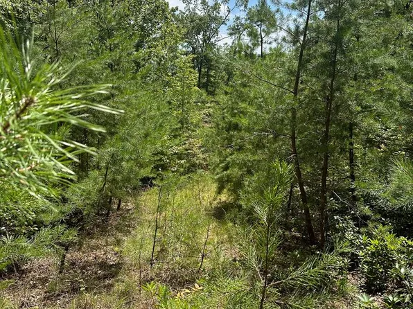 51-51B Scottie Mountain Cir, Murphy, NC 28906