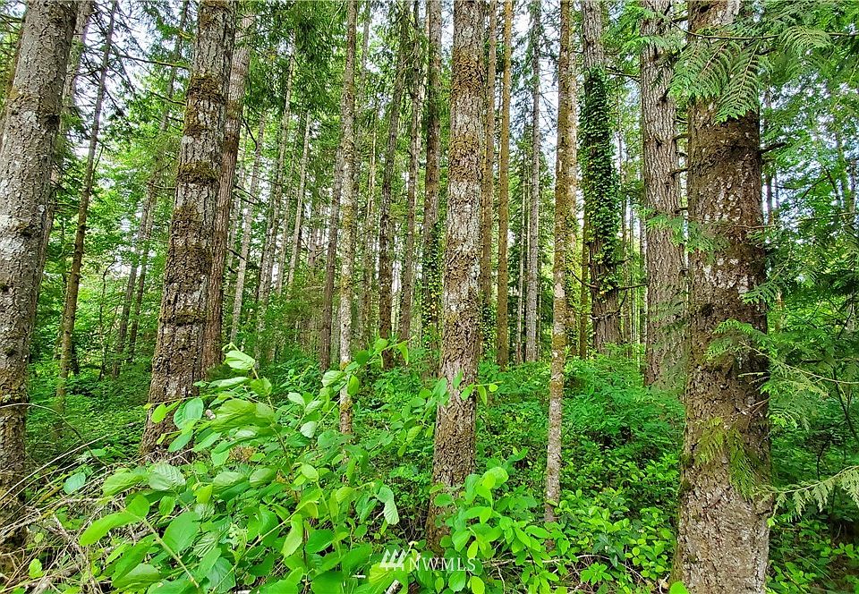 1st image of 132 -133 Lot N Potlatch Road
