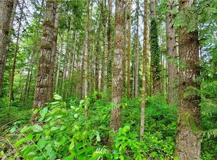 132 133rd, Hoodsport, WA 98548