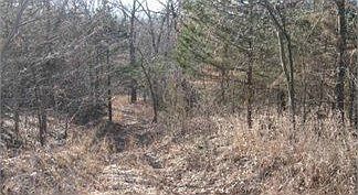 1st image of 3517 Highway 87