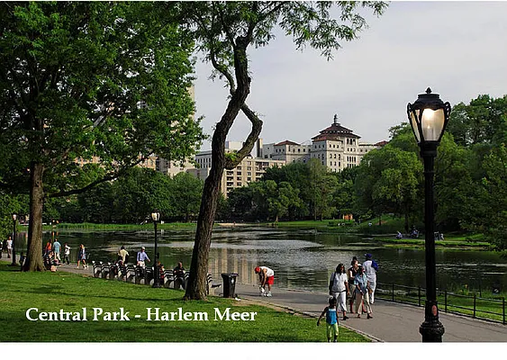 Rented by Moss Realty Company | media 25