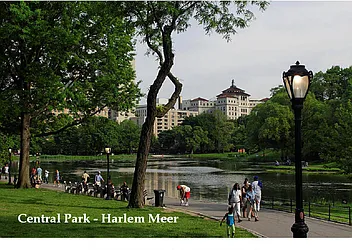 Rented by Moss Realty Company