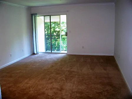 La Triumphe Apartments — Photo 30