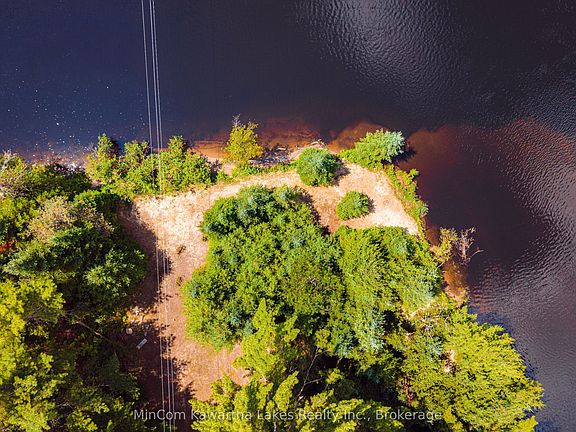 4th image of 1503 Boldts Ln
