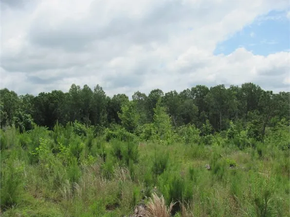 4320 Stegall Rd, Huron, TN 38345
