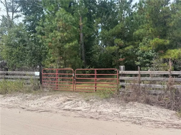 Mount Olive Rd, Waynesville, GA 31566