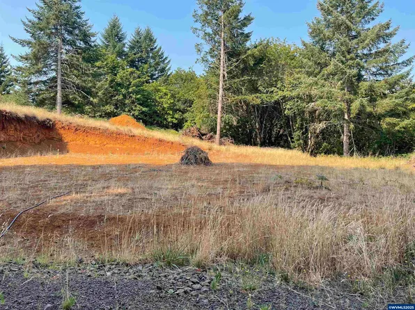 25560 SW Valley View Ln, Sheridan, OR 97378