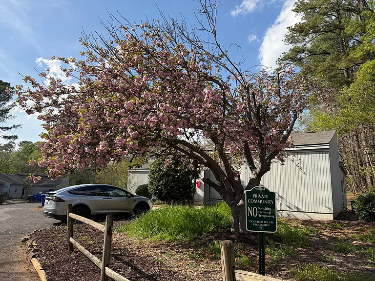 Creekside Commons — Photo 13