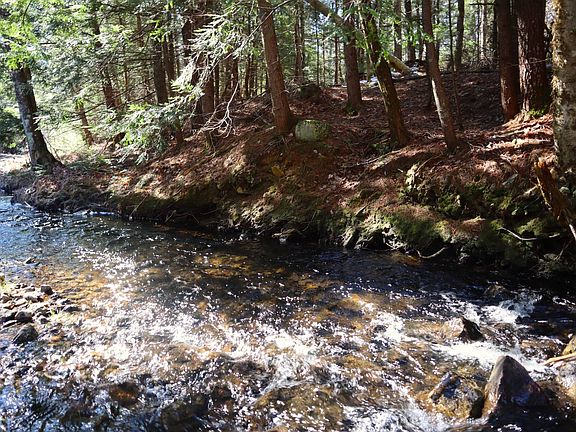 3rd image of 825 Glen Athol Rd