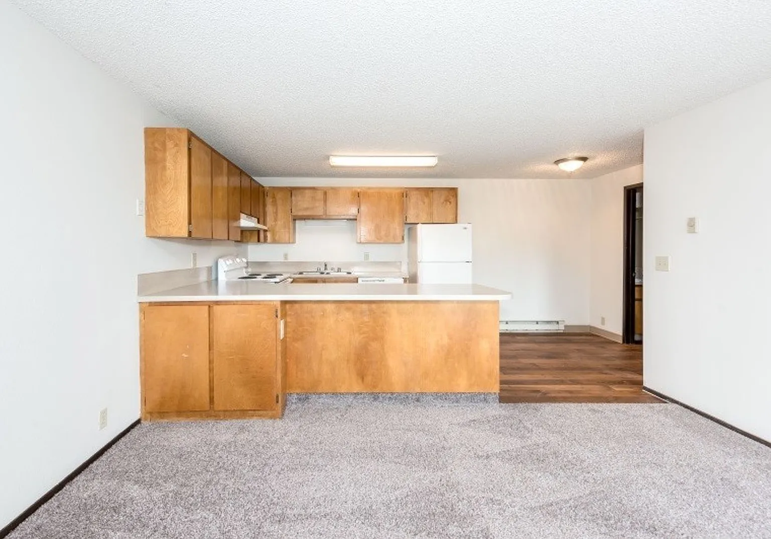 Large One Bedroom Close to Vancouver Mall — Photo 2