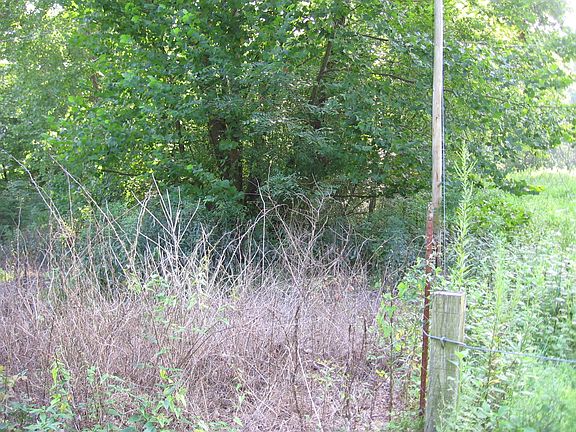 5th image of Henson Ln