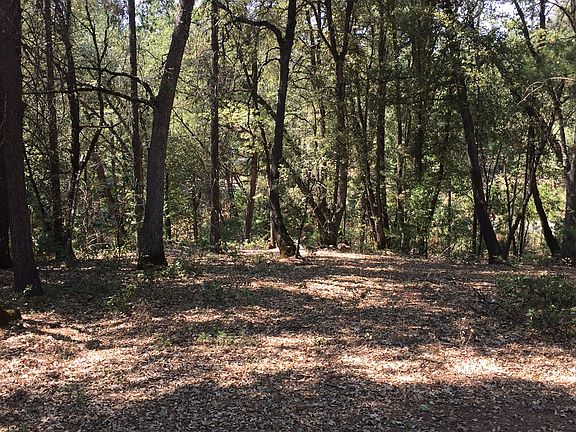 3rd image of 000 Cottonwood Ln
