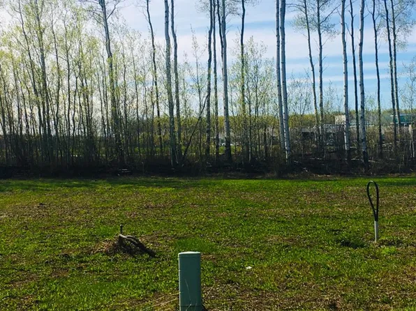 41 Chonkolay Dr, High Level, AB T0H 1Z0