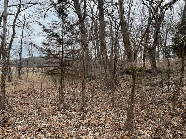 Koch Ln, Edwards, MO 65326
