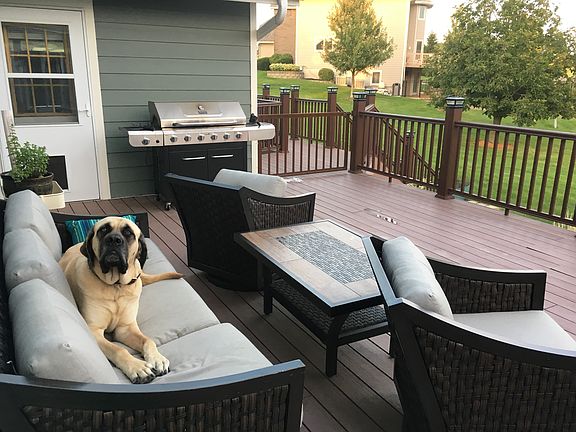 Awesome dog not included ;)