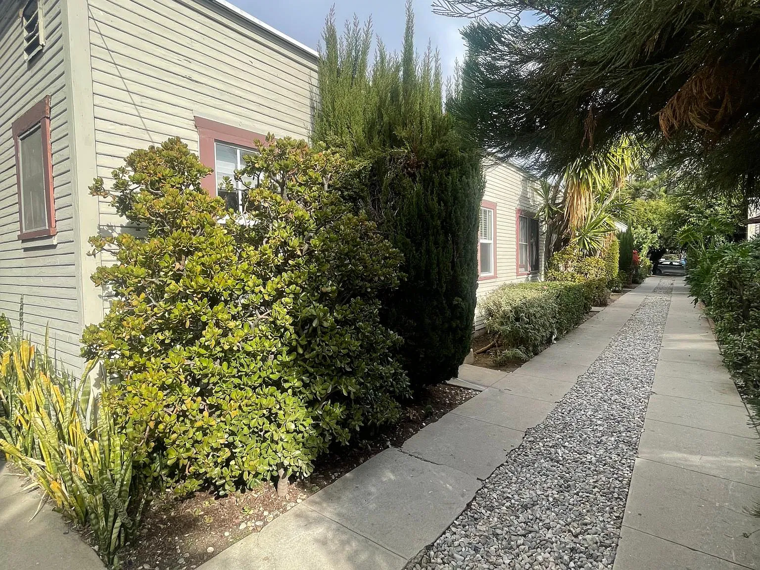 1 bed, 500 sqft, $1,900 — Photo 3