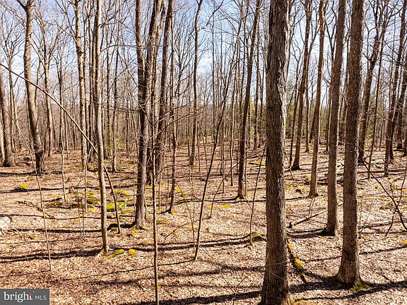 3rd image of 13 Birchwood Dr