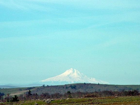 View of Mt Hood