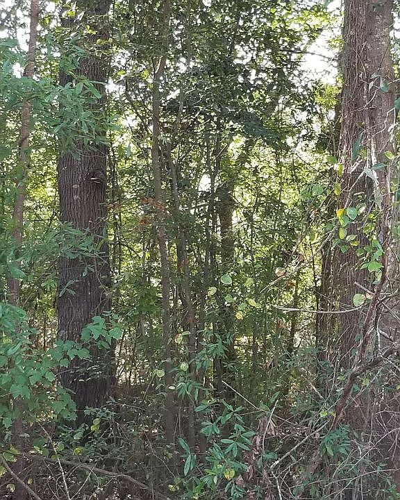 2nd image of 2318 Rolling Hills Rd