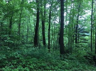 999 Winters Haven None #1, Fairview, NC 28730