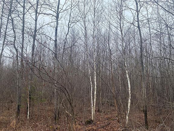 2nd image of ON Shauger Road