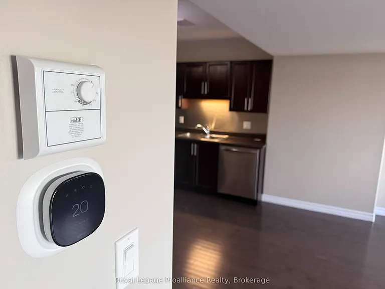 77 Mountain Ash Dr — Photo 11