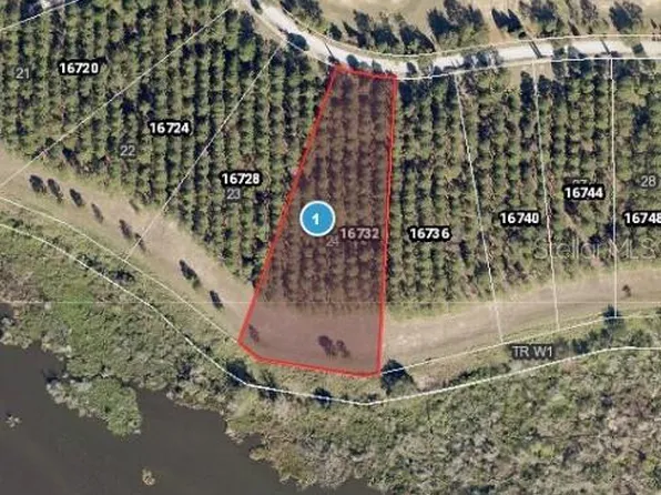 16732 Artimino Loop #24, Montverde, FL 34756