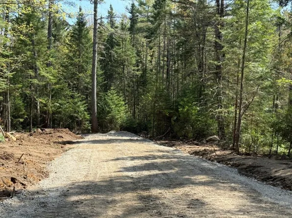 Lot 4 NH Route 4A, Grafton, NH 03240