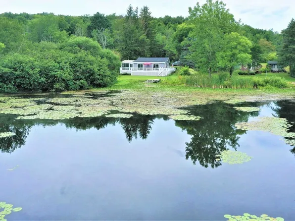 4666 Fox Rd, Avoca, NY 14809