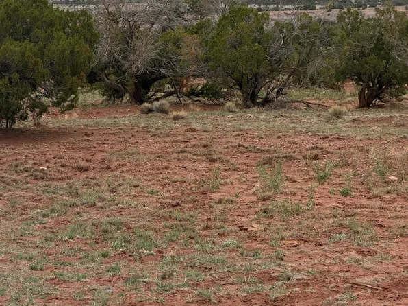 N6126 N N6126 -- #20244012, St Johns, AZ 85936
