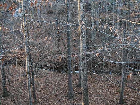 5th image of 2675 SW Candler Dr