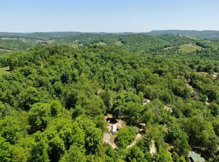 Molly Hollow Rd, New tazewell, TN 37825