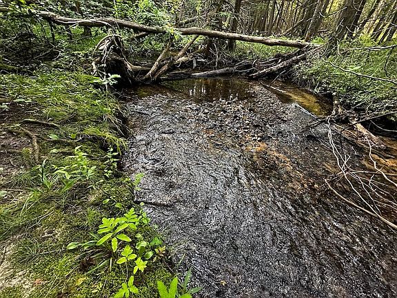 5th image of 8530 Toad Lake Rd