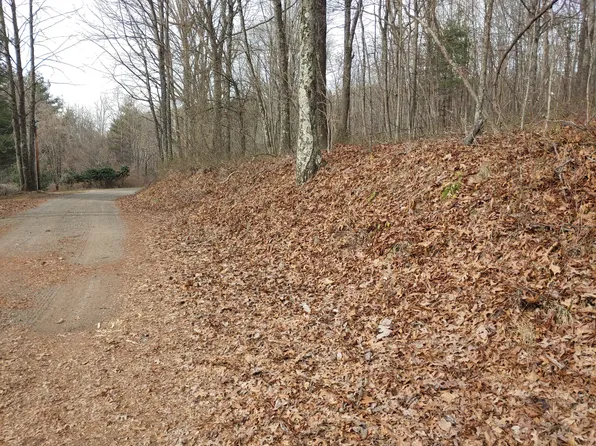 0 Calvary Way Rd, Laurel Fork, VA 24352