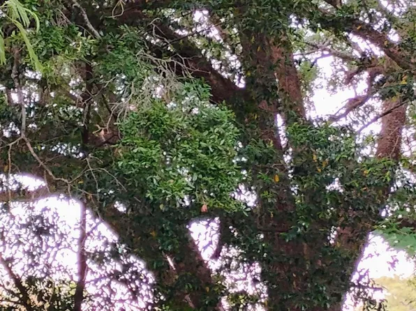 400 Blk North Ave #62, Pensacola, FL 32506