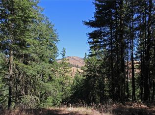 7 N Airstrip Rd, Twisp, WA 98856