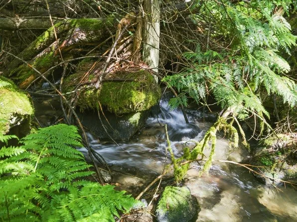 1301 Veit Rd, Newport, WA 99156