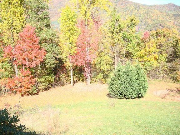 Over 41 Acres Surrounds You