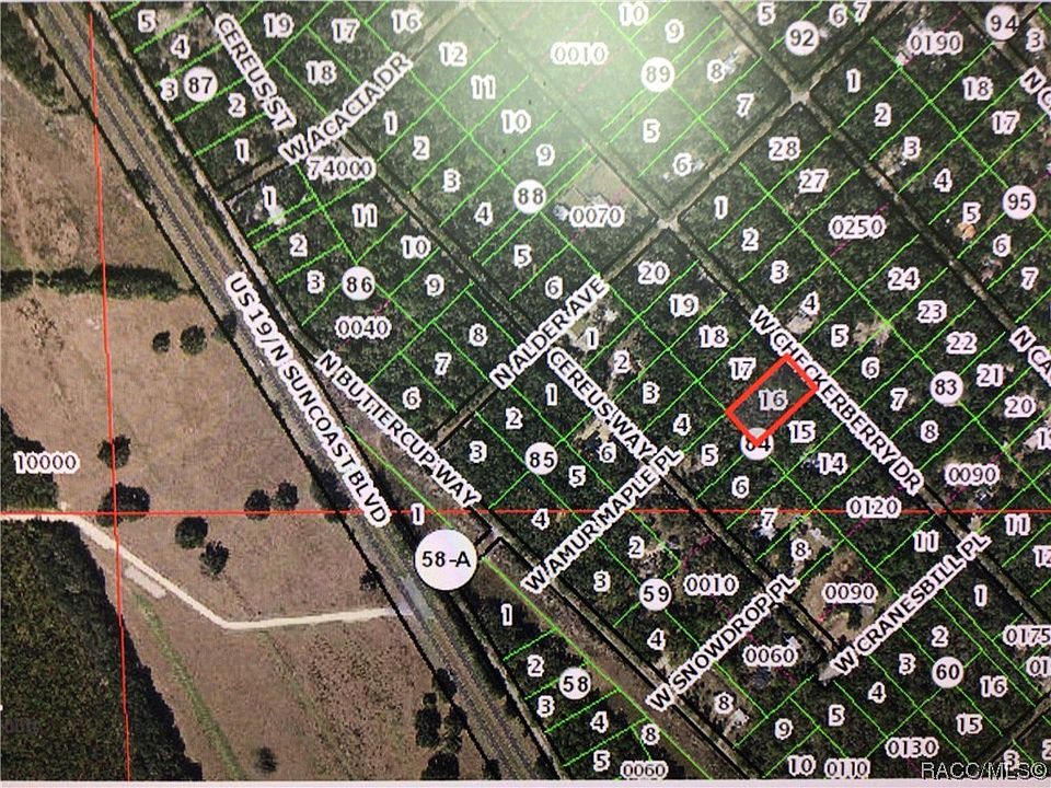 2nd image of 12464 W Checkerberry Dr