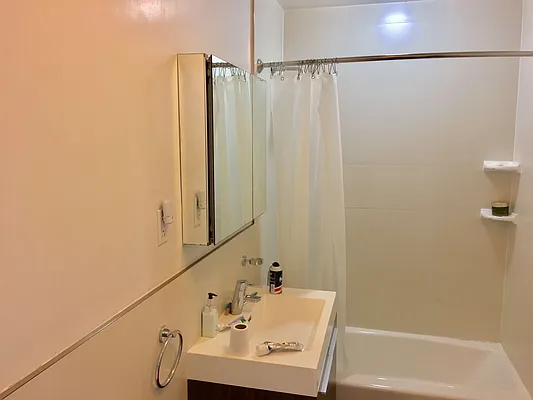 Rented by Brooklyn Properties | media 76