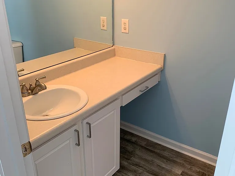 3115 Harpeth Springs Dr — Photo 11