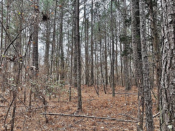 4th image of 267 County Road 5031