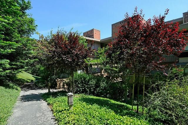 1st image of 1204 Sharon Park Dr APT 86