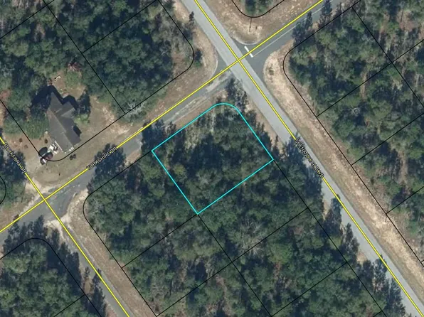 LOT 1 Shenandoah Blvd, Chipley, FL 32428