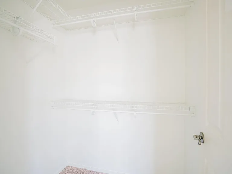 Master Closet #1