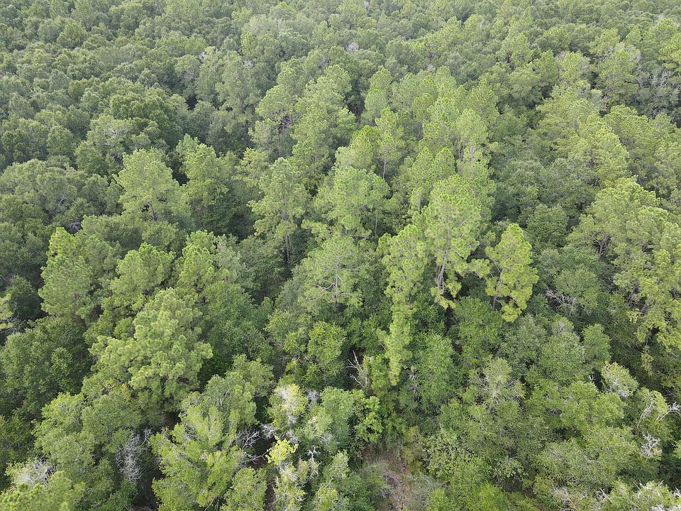 1st image of Summertime Dr