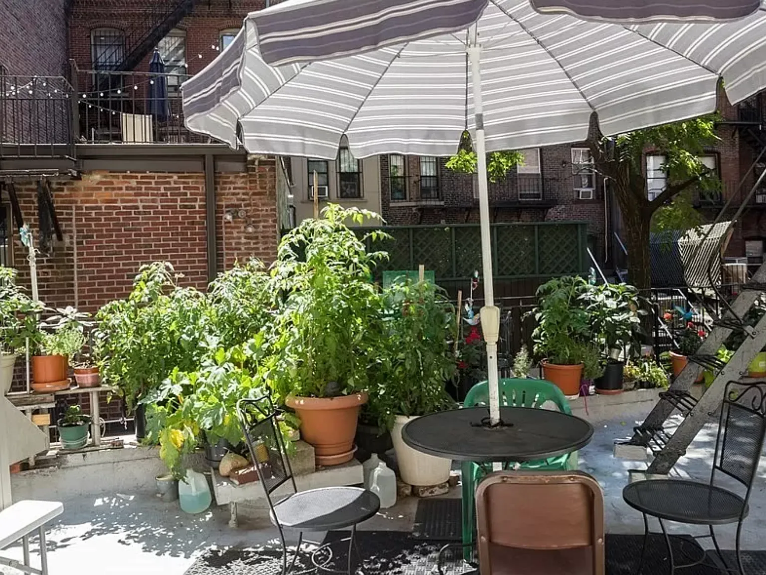 Studio, 330 sqft, $2,200 — Photo 3